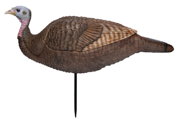 Primos 69073 Lil Gobstopper Hen Turkey Species Multi Color — view 1