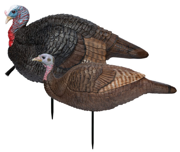 Primos 69075 Lil' Gobblestopper Jake & Hen Combo Turkey Species Multi Color — view 1