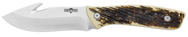 Camillus 19247 Western Crosstrail 4.25" Fixed Gut Hook Plain Silver 420 Steel Titanium Bonded Blade, Stag/Antler Delrin Handle, Includes Belt Loop/Sheath — view 1
