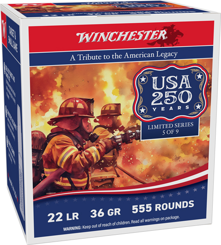 WINCHESTER 22LR 36GR PLATED HP - 1280FPS 555RD 10BX/CS 250TH AN — view 1