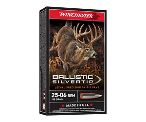 WIN BLSTC TIP 2506RM 115GR 20/200