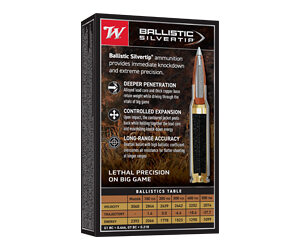 WIN BLSTC TIP 2506RM 115GR 20/200 — view 2