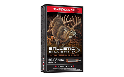 WIN BLSTC TIP 3006SP 180GR 20/200 — view 1