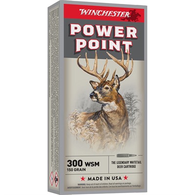 300 WSM 150GR POWER-POINT 20/BOX — view 1