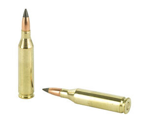 WIN DEER SEASON 243WIN 95GR 20/200 — view 4