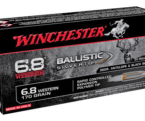 WIN 6.8 WSTN BLSTC TIP 170GR 20/200 — view 2