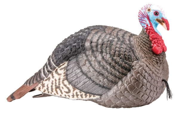 HS Strut 100003 Strut-Lite Jake Wild Turkey Species Multi Color Synthetic — view 1