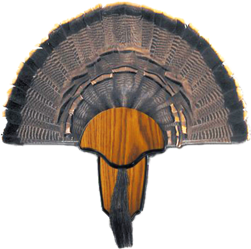 HS STRUT MOUNTING KIT TURKEY - TAIL & BEARD — view 1
