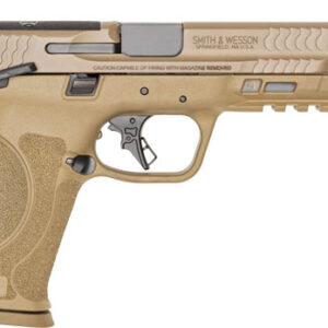 S&W M&P9 M2.0 9MM 5" OPTIC - READY 17-SHOT THUMB SAFETY FDE — view 2