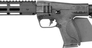 S&W M&P FPC 10MM FOLDING CA AP - 3ARBINE 16.25" 3-10RD MAGS BLK — view 2
