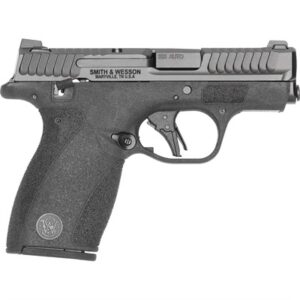 BODYGUARD 2.0 380 ACP 2.75''BBL (2)10RD MAG TS CA COMPL