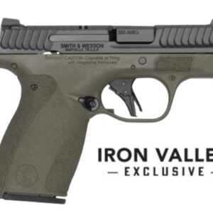 M&P Bodyguard 2.0 380ACP 2.75" NTS ODG 10/12 IVS