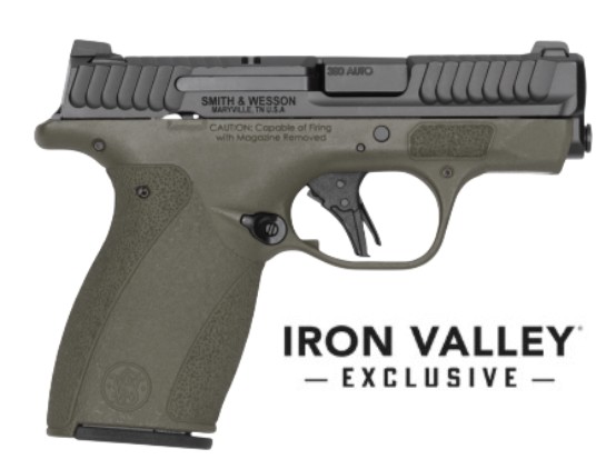 M&P Bodyguard 2.0 380ACP 2.75" NTS ODG 10/12 IVS — view 1