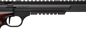 BROWNING BUCKMARK HUNTER - VARMINT 22LR 10.5" SR LAMINATE