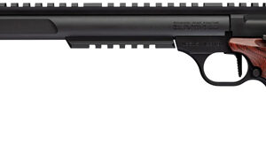 BROWNING BUCKMARK HUNTER - VARMINT 22LR 10.5" SR LAMINATE — view 2