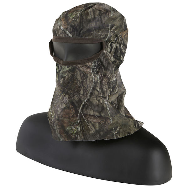 ALLEN VISA FORM HEAD NET MO COUNTRY — view 1