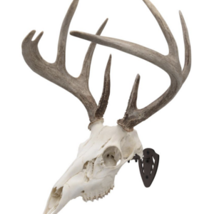 ALLEN EZ MOUNT SKULL HANGER BROWN