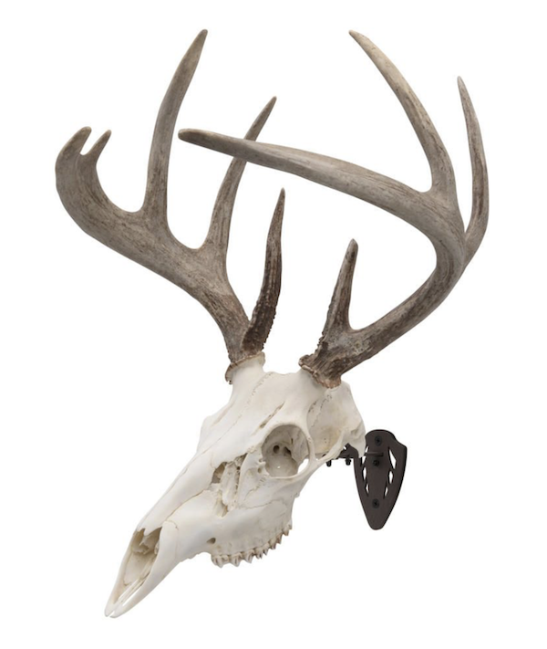 ALLEN EZ MOUNT SKULL HANGER BROWN — view 1