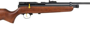 BEEMAN QB78D-177 CO2 .177 - PELLET AIR RIFLE SINGLE SHOT<