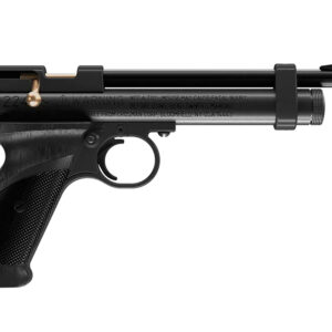 Daisy 2240 2240  Black Polymer CO2 22 Cal, Single Shot Bolt Action