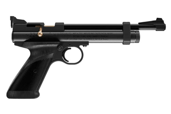 Daisy 2240 2240  Black Polymer CO2 22 Cal, Single Shot Bolt Action — view 1