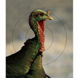 BC PREGAME 12" X 18" TKY TARGET 8PK