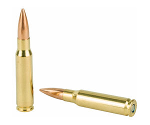 FED GOLD MDL 308WN 168GR BTHP 20/200 — view 4
