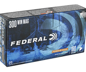FED PWRSHK 300WIN 180GR SP 20/200 — view 2