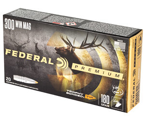 FED PRM 300WIN 180GR TRPHY TP 20/200 — view 3