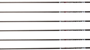 CARBON EXPRESS ARROW PREDATOR - AIR 400 2" Q2i VANES 6PK