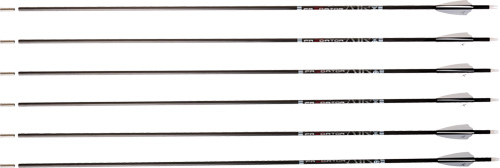 CARBON EXPRESS ARROW PREDATOR - AIR 400 2" Q2i VANES 6PK — view 1
