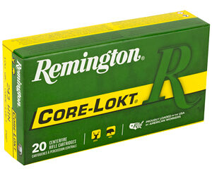 REM 243WIN 100GR PSP CL 20/200 — view 2