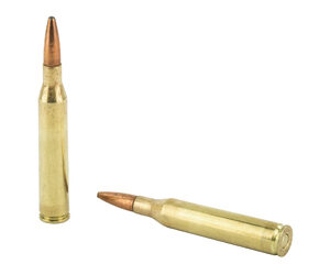 REM 25-06REM 120GR PSP CL 20/200 — view 4