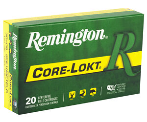REM 30-06 150GR PSP CL 20/200 — view 2
