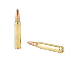 REM 223REM 55GR FMJ 250RD BUCKET WTP — view 4