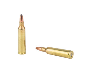 REM WE THE PEOPLE 22-250REM 55GR HPR — view 4