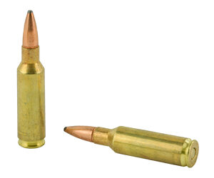 REM 300RSAUM 165GR PSP CL 20/200 — view 4