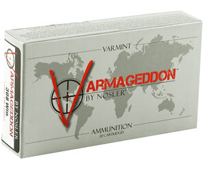 NOSLER VG 308WIN 110GR FB TIP 20/200 — view 2