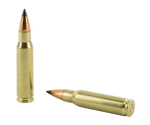 NOSLER VG 308WIN 110GR FB TIP 20/200 — view 4