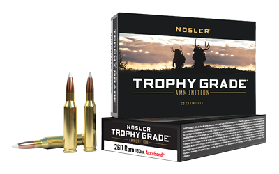 NOSLER TGA 260 REM 130GR AB 20/200 — view 1