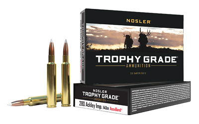 NOSLER TGA 280 ACKER 140GR AB 20/200 — view 1
