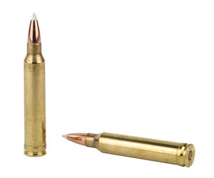 NOSLER 300WIN 180GR AB 20/200 — view 4