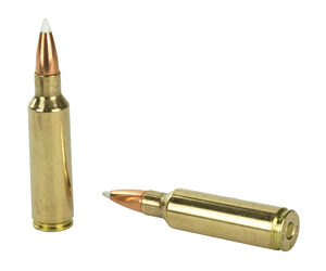 NOSLER 300WSM 180GR AB 20/200 — view 4