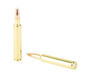 NOSLER 280 ACK IMP 160GR AB 20/200 — view 4