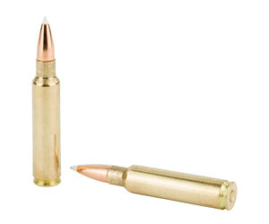 NOSLER 33NOS 225GR AB 20/200 — view 4
