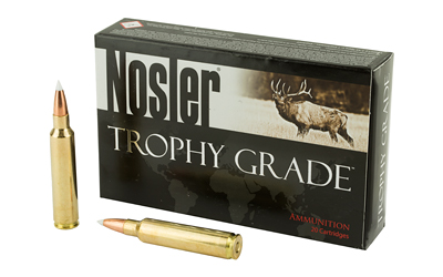 NOSLER 30NOS 180GR AB 20/200 — view 1