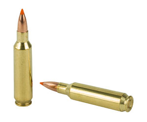 NOSLER 22NOS 55GR BT 20/200 — view 4