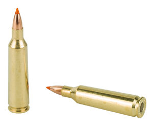 NOSLER 22-250 55GR BT 20/200 — view 4