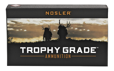 NOSLER TG 243WIN 100GR PT 20/200 — view 1