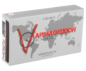 NOSLER VG 22-250 55GR FB TIP 20/200 — view 2